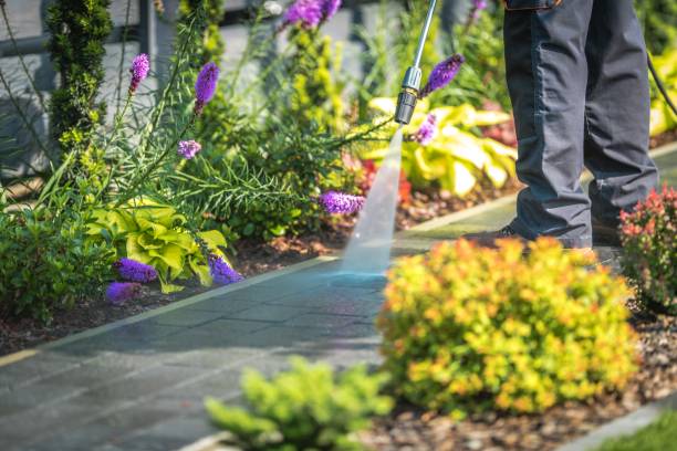 Best Gas Station Cleaning  in Van Buren, MO
