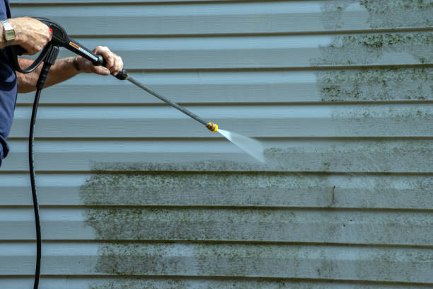 Best Rust Removal  in Van Buren, MO